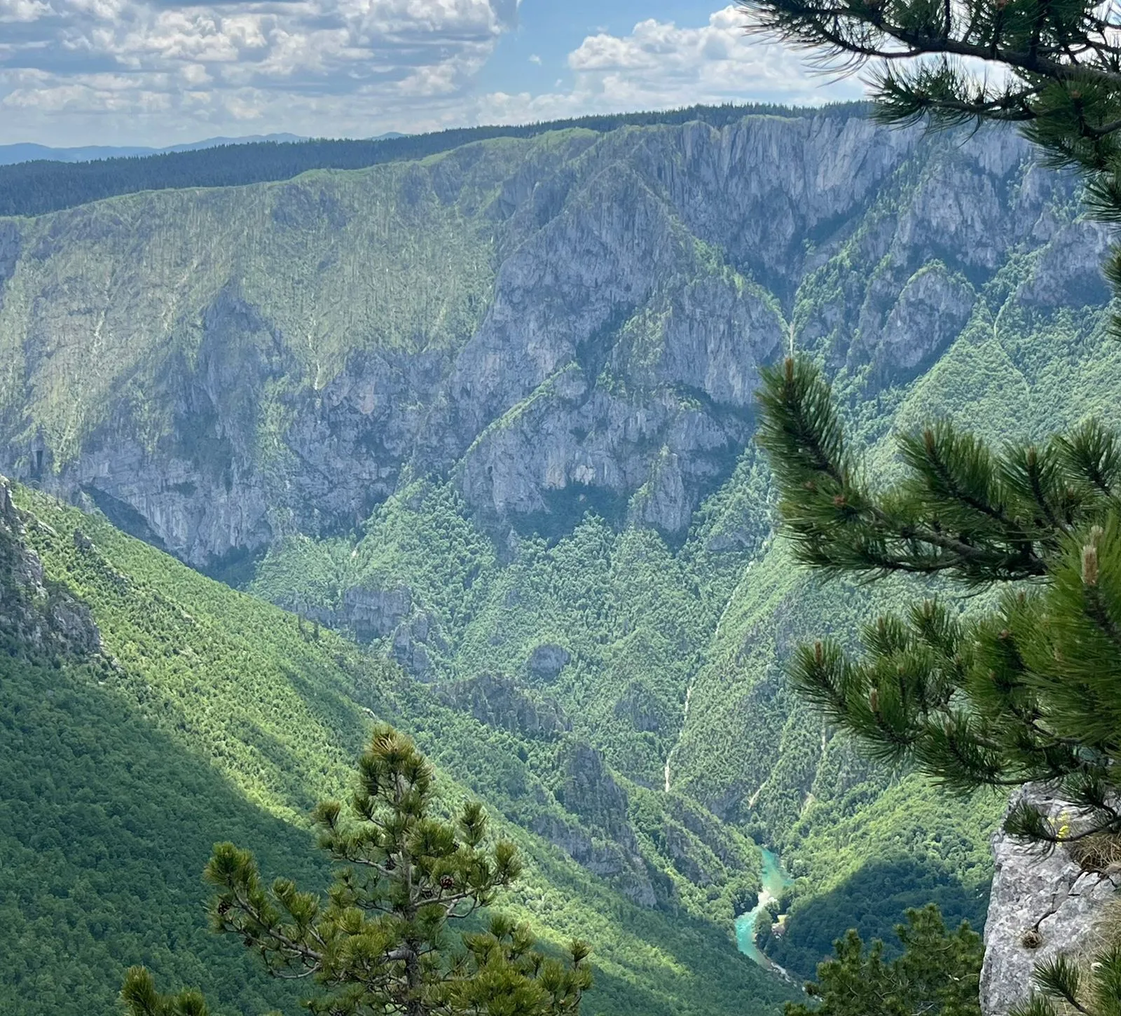 The Tara River — The Tear of Europe