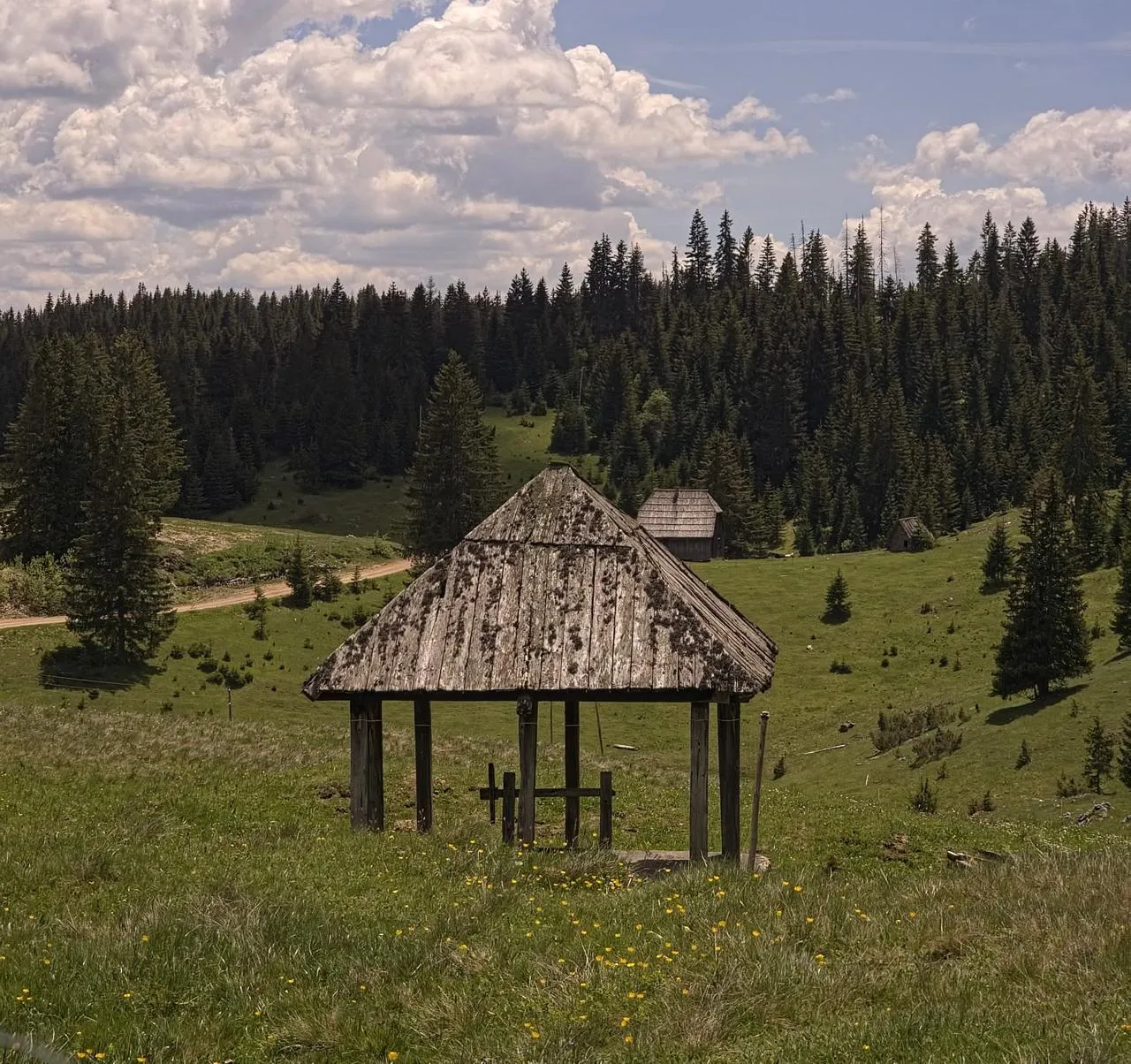 Ljubišnja Jeep Safari – Explore Hidden Wilderness